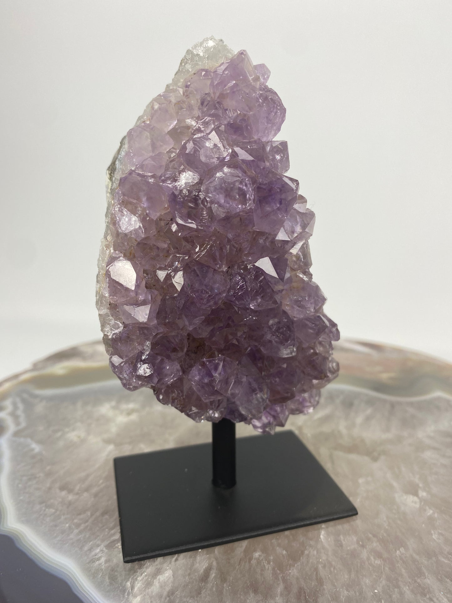 Brazilian Amethyst Druze on stand