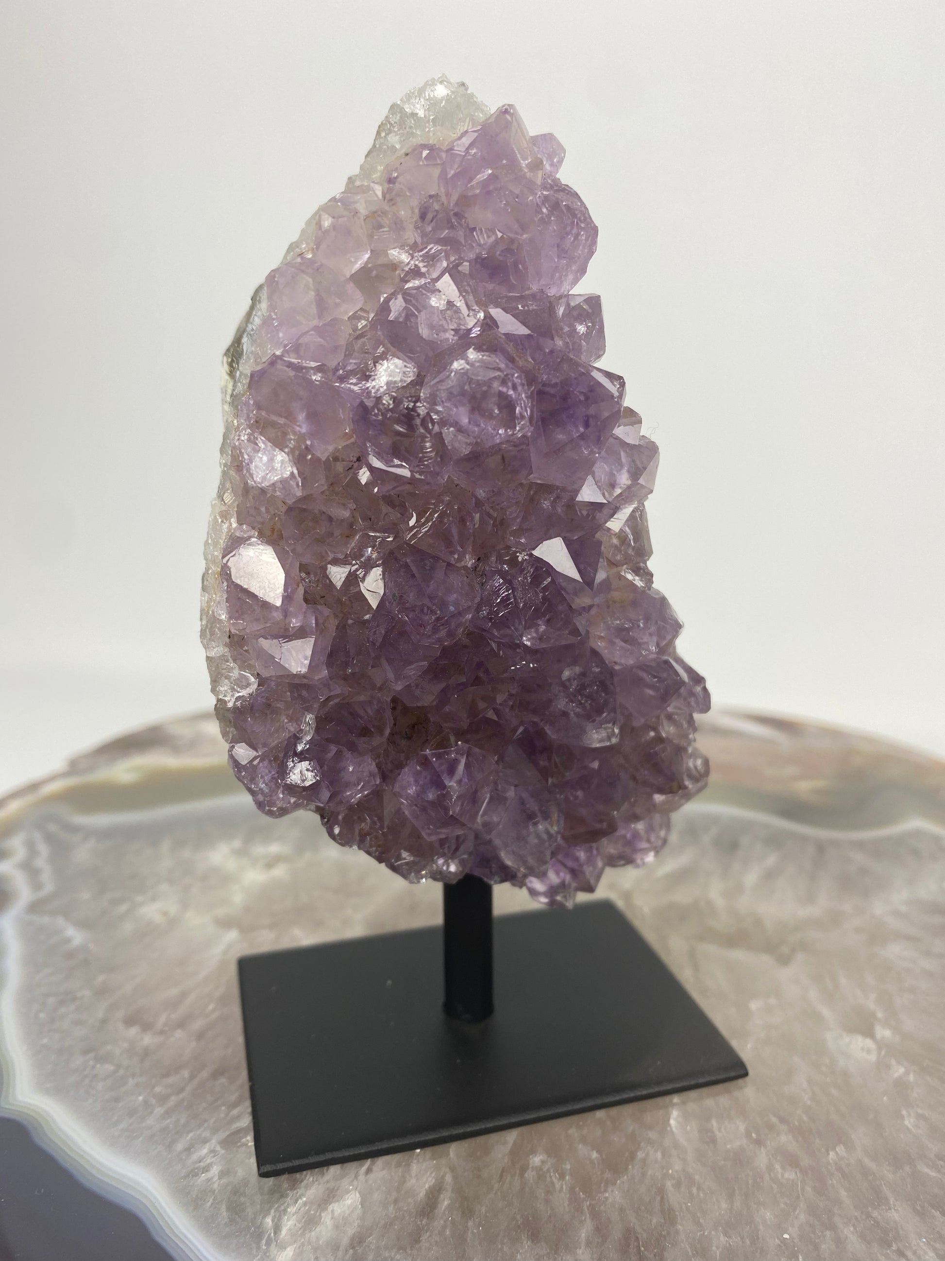 Brazilian Amethyst Druze on stand