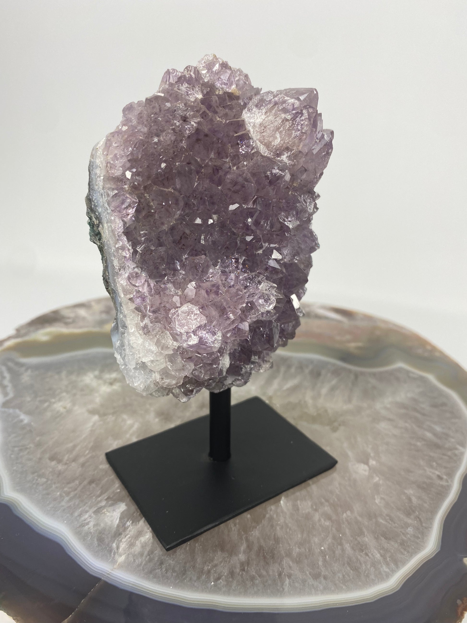 Brazilian Amethyst Druze on stand