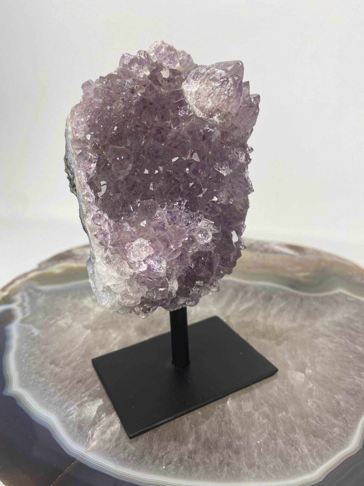 Brazilian Amethyst Druze on stand