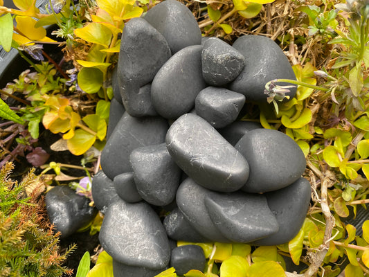 Shungite smooth stone
