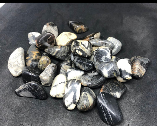 Silver leaf Jasper