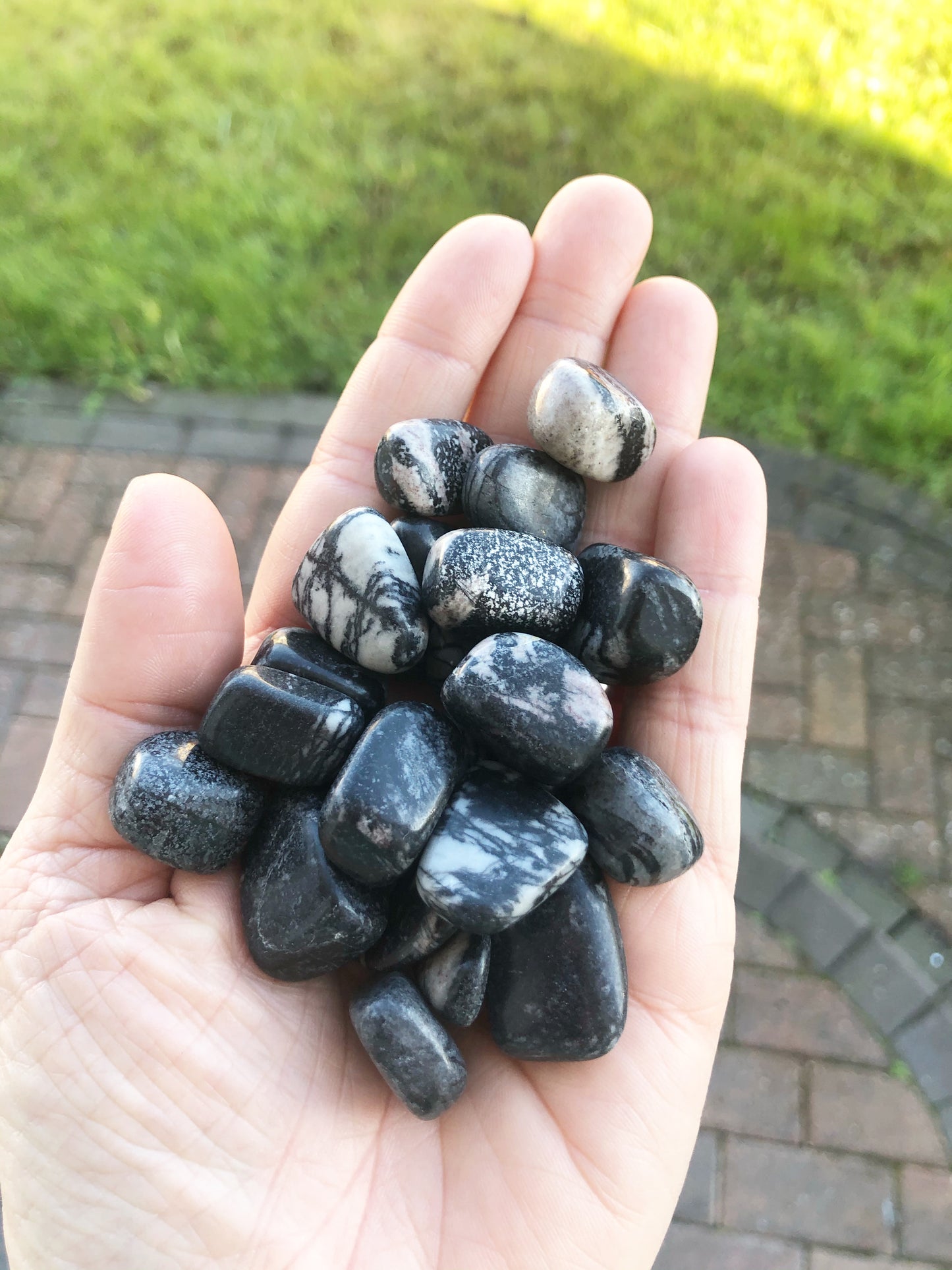 Black line jasper