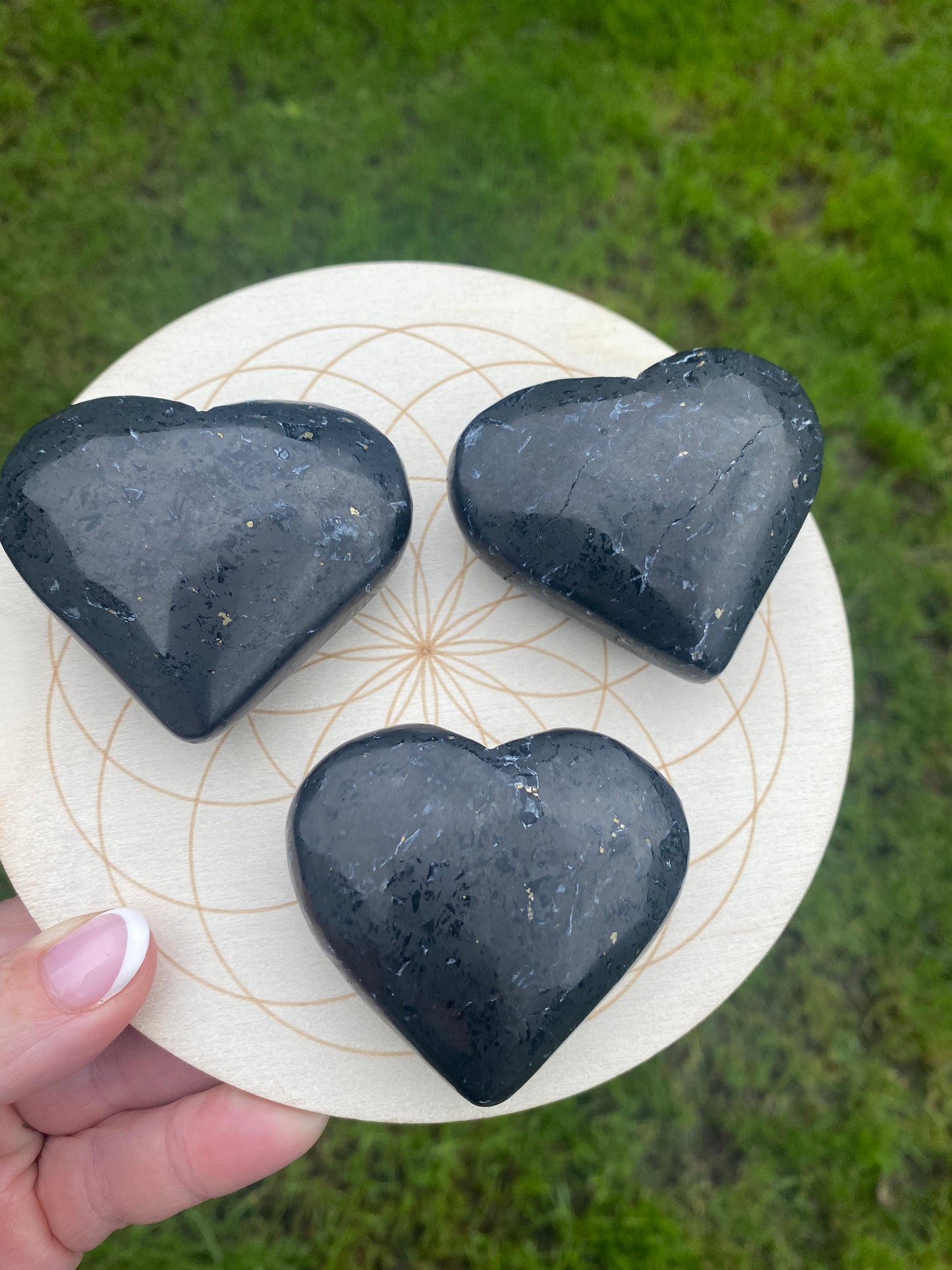 Shungite with pyrite hearts