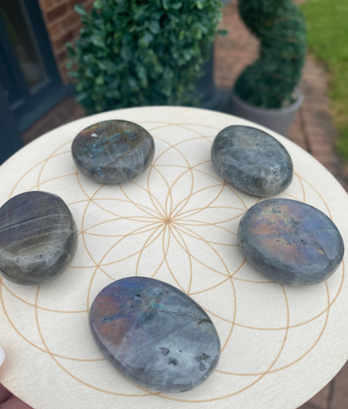 Pink purple flashy labradorite palm stone