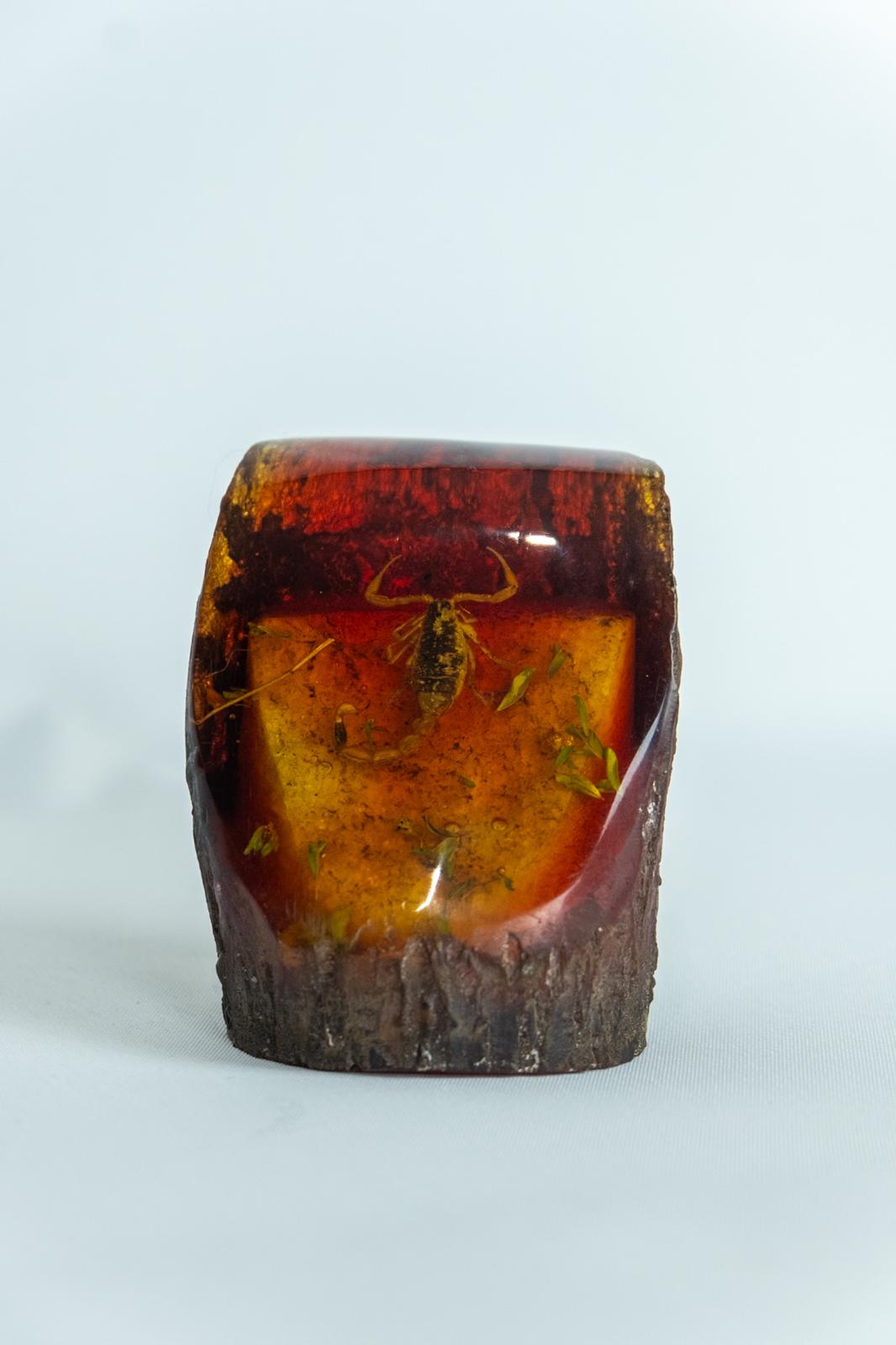 Amber & resin insect freeform