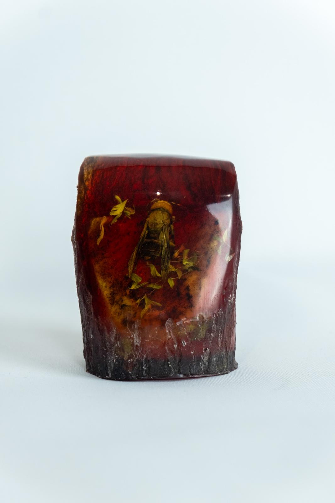 Amber & resin insect freeform