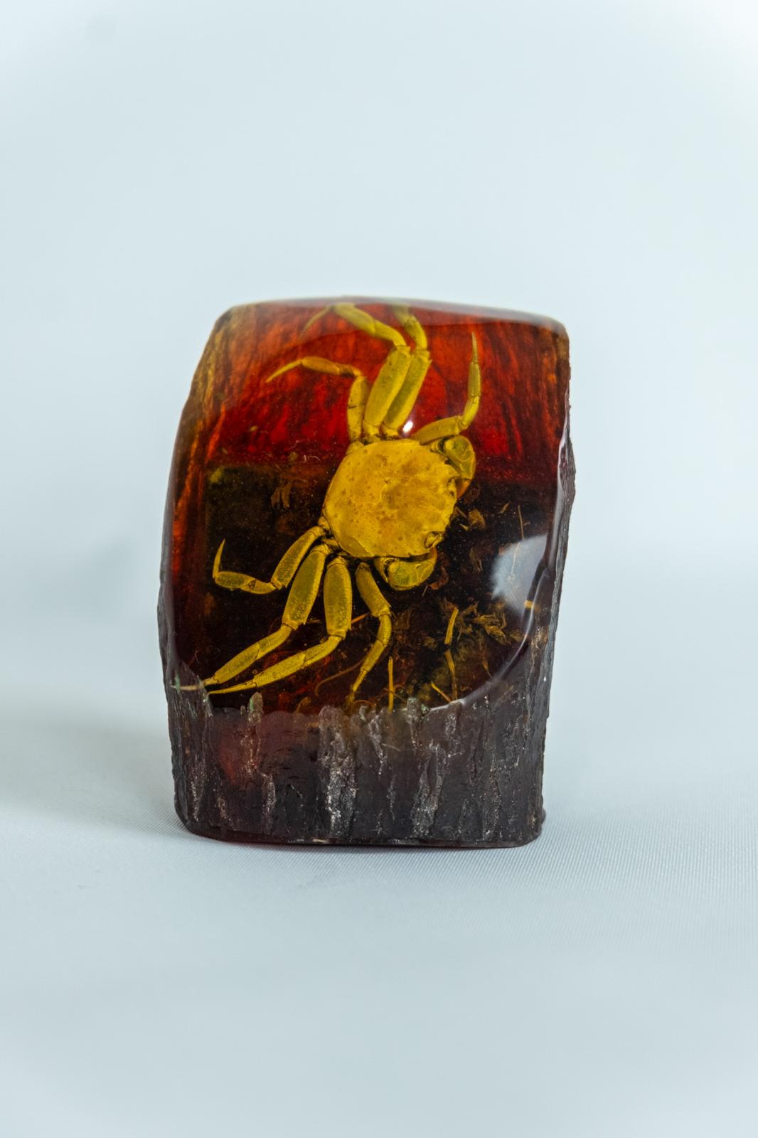 Amber & resin insect freeform