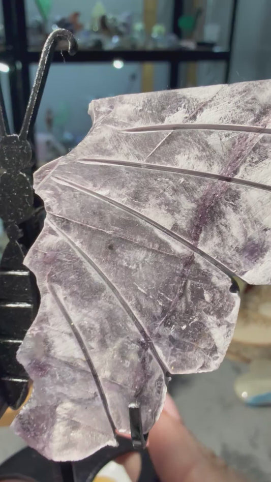 Lepidolite mica wings